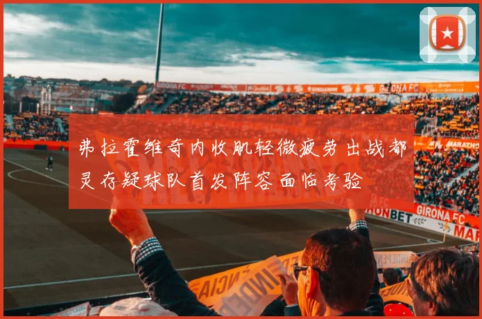 弗拉霍维奇内收肌轻微疲劳出战都灵存疑球队首发阵容面临考验